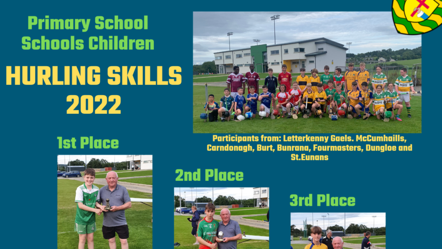 Eight clubs participate in Primary Schools Hurling Skills Competition
