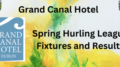 Grand Canal Hotel Spring Hurling League Round 1 Results and Round 2 Fixtures