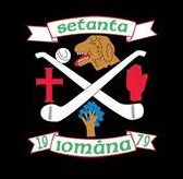 Setanta Hurling Club