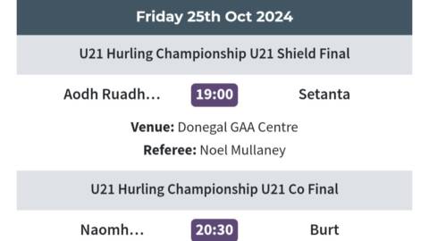 Grand Canal Hotel Dublin Under 21 Hurling finals