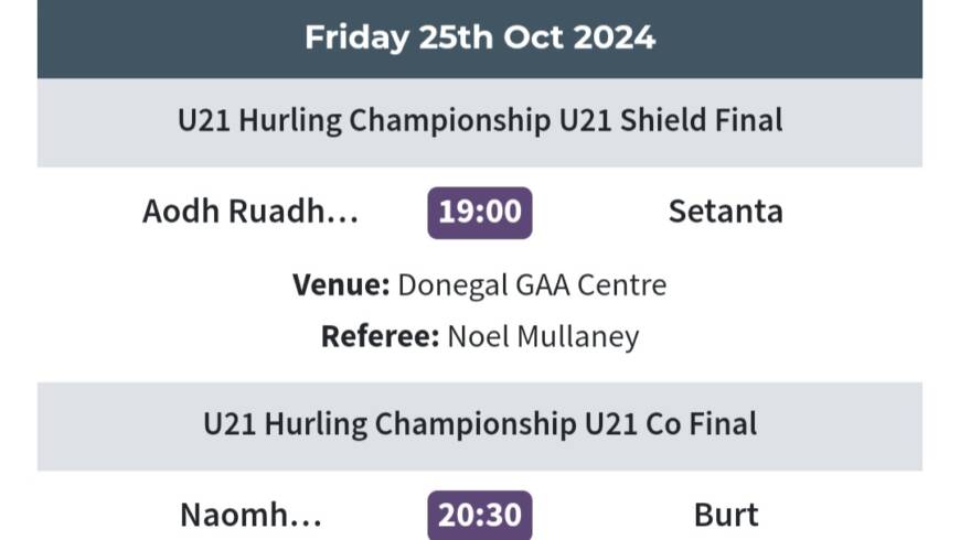 Grand Canal Hotel Dublin Under 21 Hurling finals